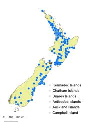 Azolla rubra distribution map based on databased records at AK, CHR and WELT.
 Image: K. Boardman © Landcare Research 2014 CC BY 3.0 NZ